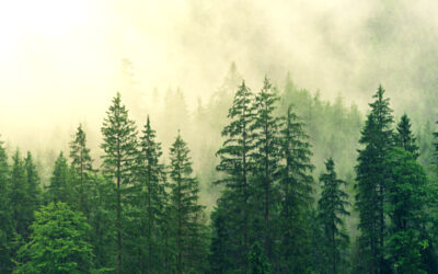 Carbon Footprint Reduction in aluminium die casting