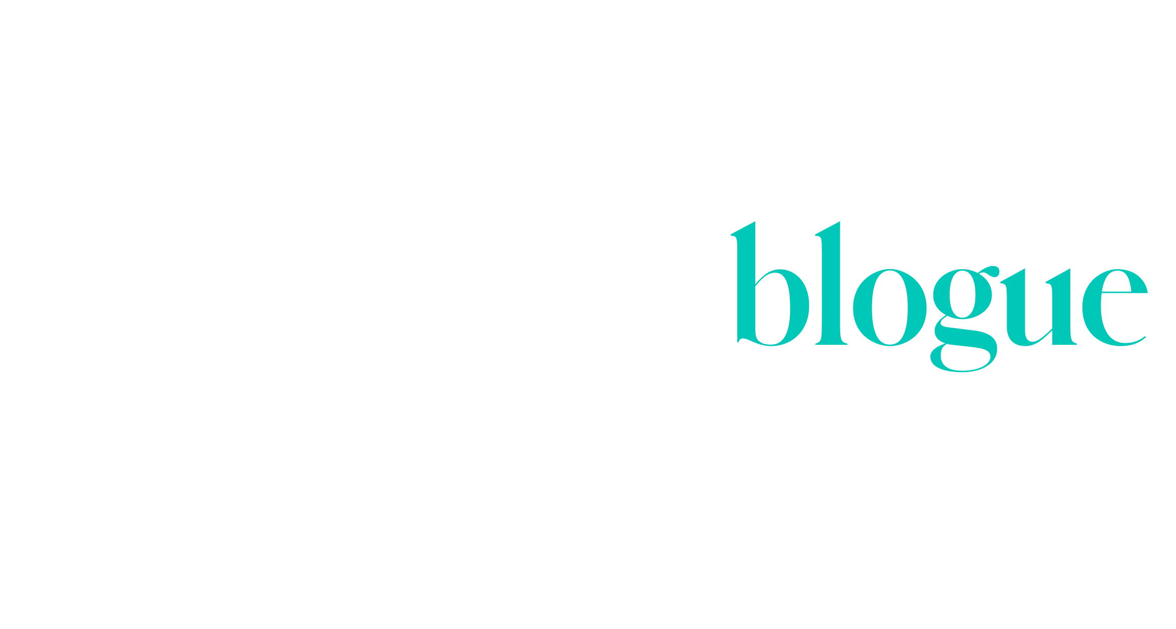 Blogue_blanc_fr